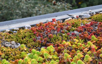 the cost of Ystrad Uchaf green roof installation